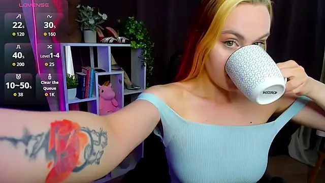 Ida_FaneStain webcam