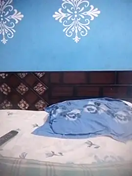 nikkyguddi webcam