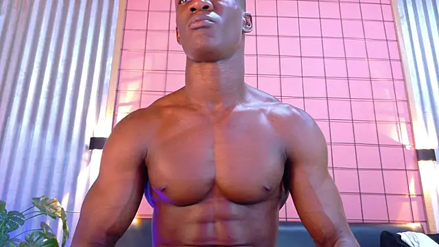 martin_killer webcam