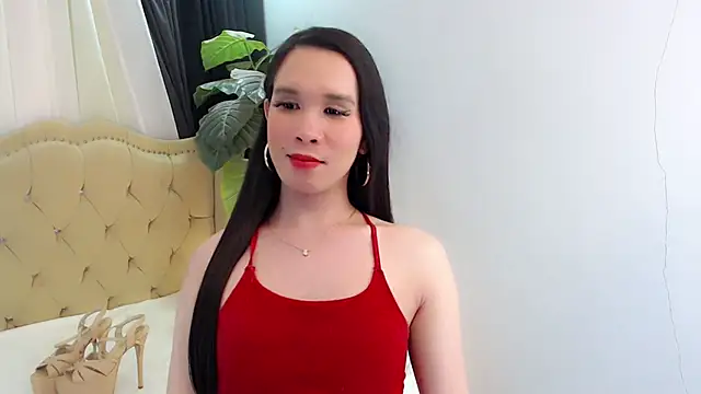LexiLoreOnTop