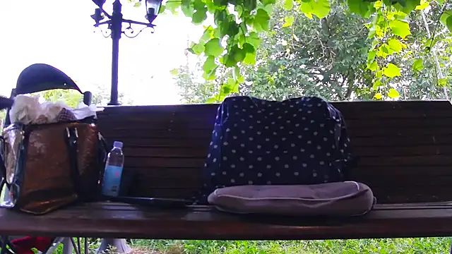 BigLabia_PublicPark webcam