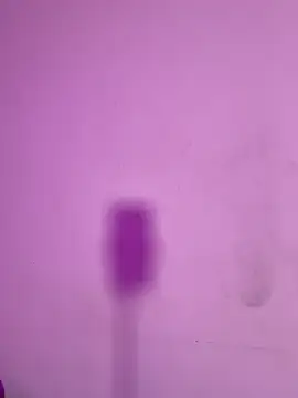 -Brittanny webcam