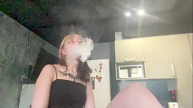 RejectedOrigami_ webcam