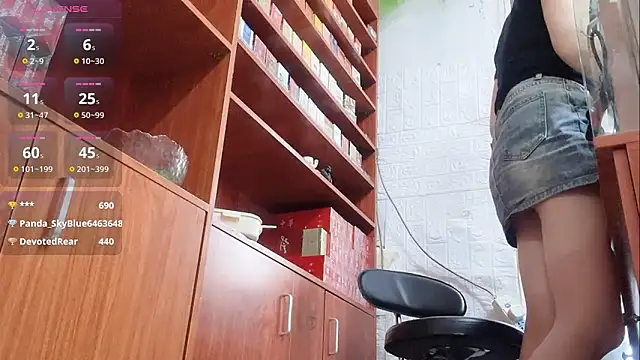 Maneki-nekoo webcam