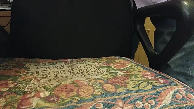 curiosillo83 webcam