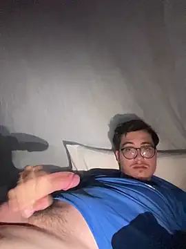 safadinhofire webcam