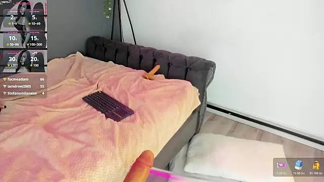 Abbyy_stone webcam