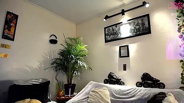 tiancam webcam
