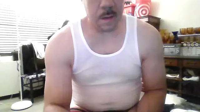 toosexy4myshirt webcam