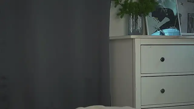akumadadrive webcam
