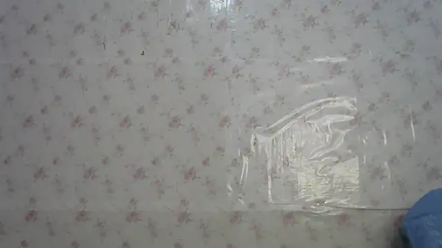 Roselingalvis13 webcam