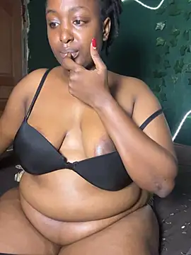 Sollybunny webcam