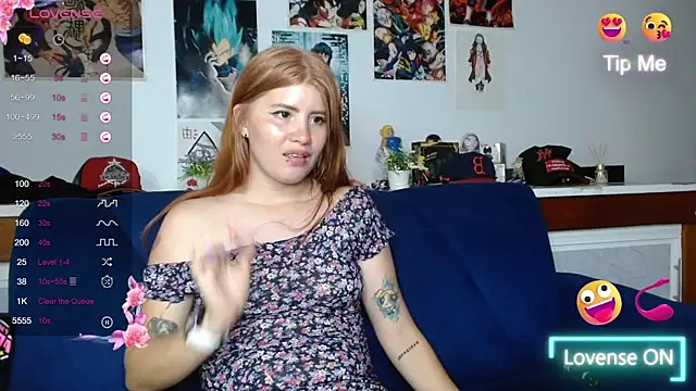 aria_rm webcam