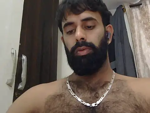 indianhairybull