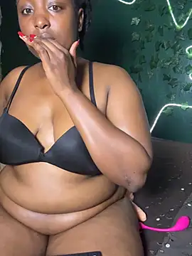 Sollybunny webcam