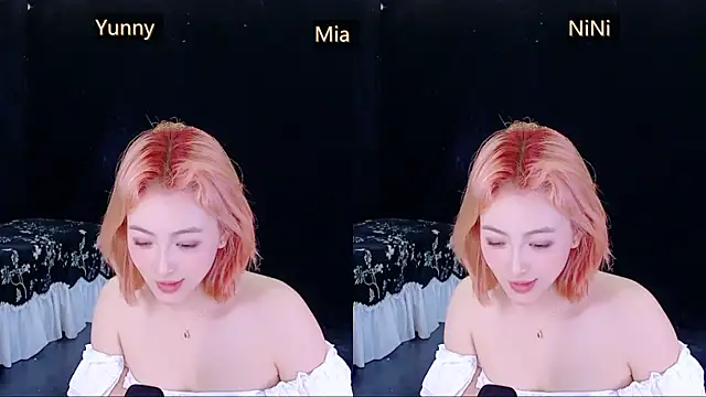 MiNi-U webcam