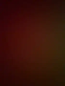 DarkfleX webcam
