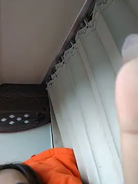 Ori-Lynk webcam