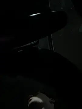 priv2097 webcam