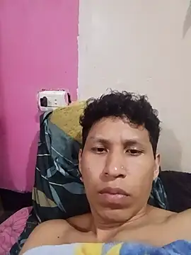 Darvin3312 webcam