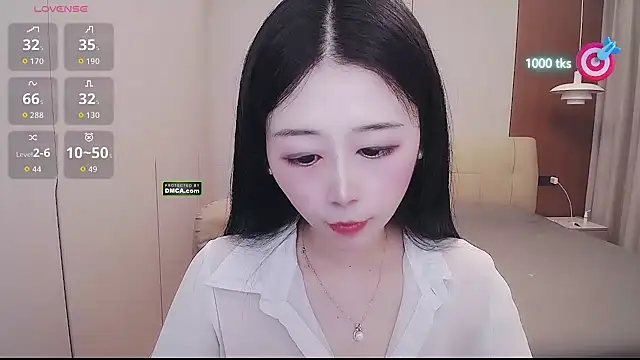 CN-xiaofei webcam