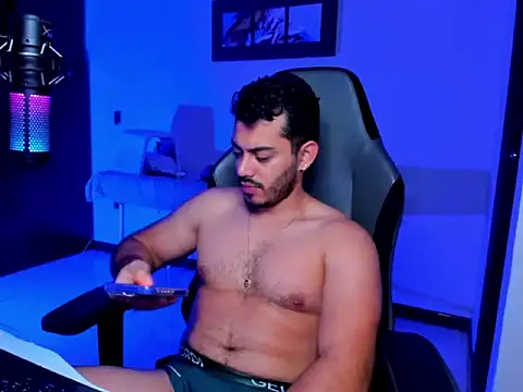 BrunoD31 webcam