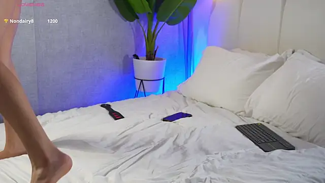 Timmyshy_ webcam