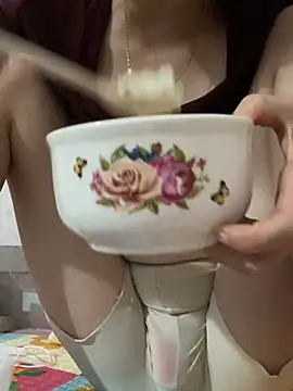 Zinsetka webcam