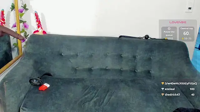 la_saris webcam