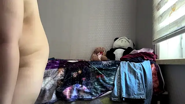 CloudyFoxy webcam