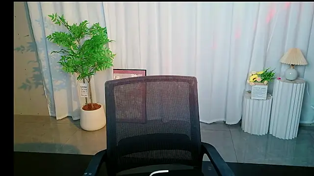 MO-001 webcam