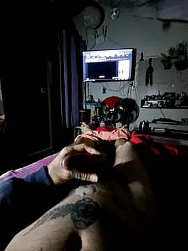magrosafadodiscreto webcam