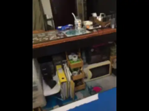 hkwildguy webcam