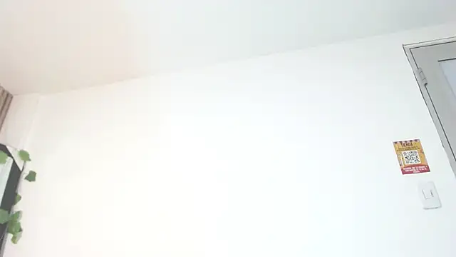 Disyamil_Pineda webcam