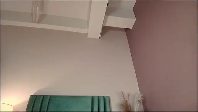 SamVegaa webcam
