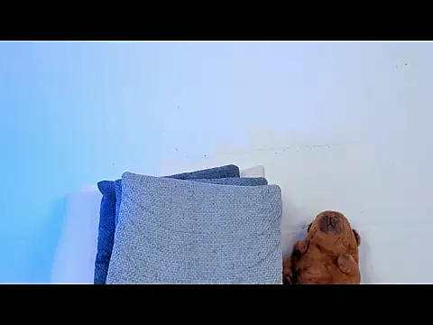 kael_brown1 webcam