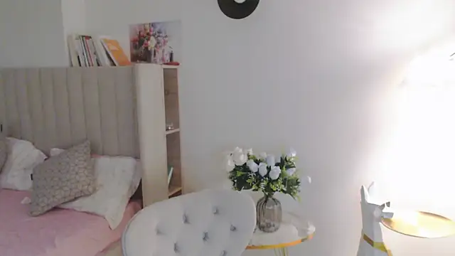 VeliaSai webcam