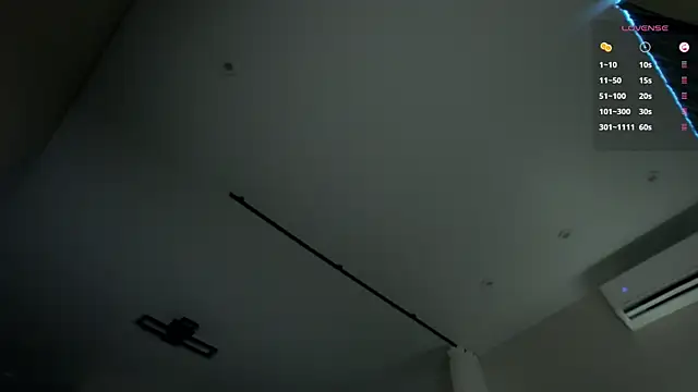 Tommy_cat webcam
