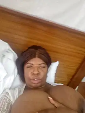 katt008 webcam