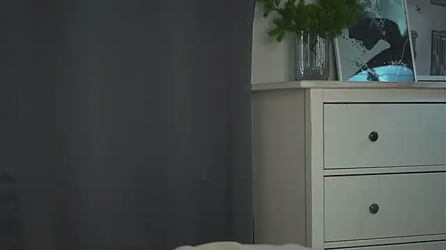 akumadadrive webcam