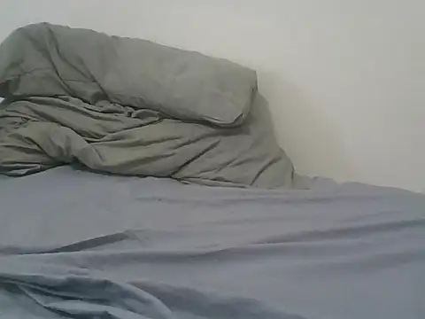 lapa525 webcam