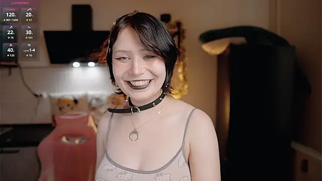 Nickari webcam