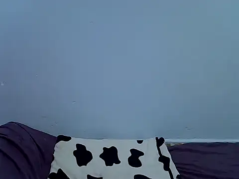 Jaisy2 webcam