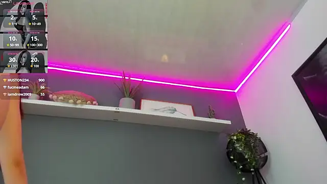 Abbyy_stone webcam