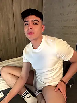 aronnhidden webcam