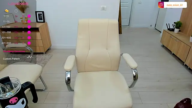 EveEvian webcam
