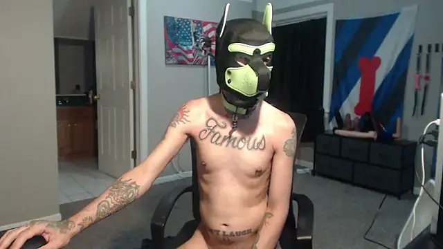 Michigan9000 webcam