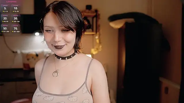 Nickari webcam