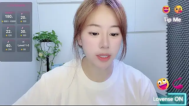 Baixi-01 webcam