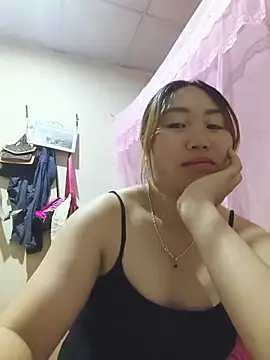 he-se-kin webcam